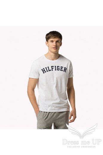 Pánske tričko Cotton Icon Tommy Hilfiger